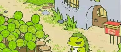 小青蛙真实爆料视频,揭秘真实生活幕后故事 第2张 小青蛙真实爆料视频,揭秘真实生活幕后故事 第2张